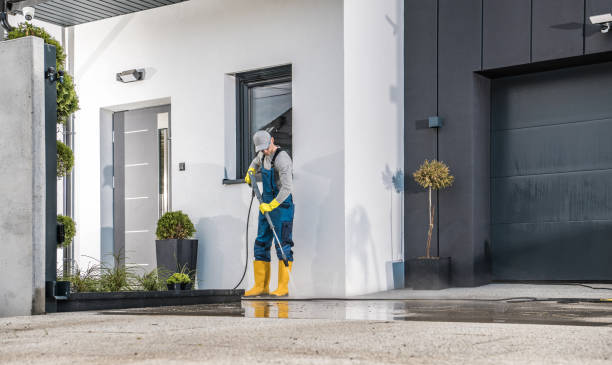 Best Driveway Pressure Washing  in New Ellenton, SC